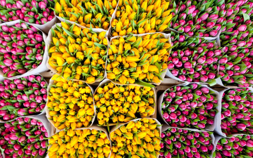 507675 (a): :2560x1600